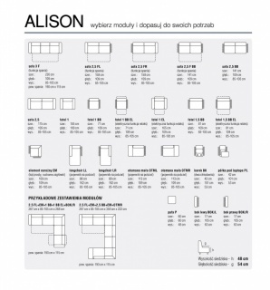 Zestawy wypoczynkowe,MODUŁOWE MEBLE WYPOCZYNKOWE ALISON 